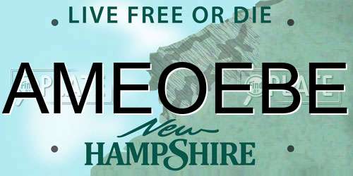 AMEOEBE New Hampshire License Plate