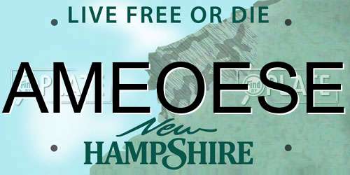 AMEOESE New Hampshire License Plate
