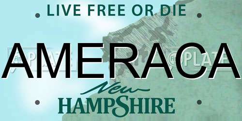 AMERACA New Hampshire License Plate