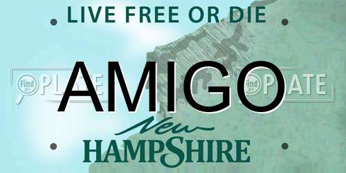 AMIGO New Hampshire License Plate