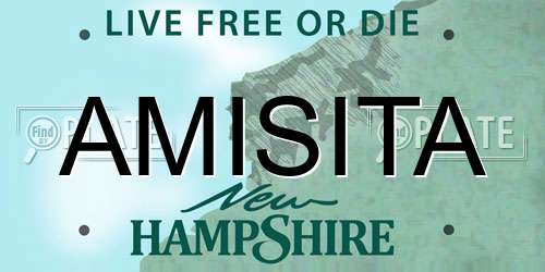 AMISITA New Hampshire License Plate