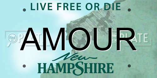 AMOUR New Hampshire License Plate