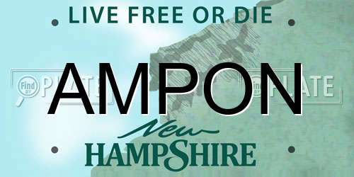 AMPON New Hampshire License Plate