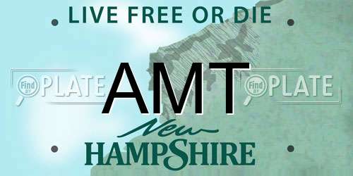 AMT New Hampshire License Plate