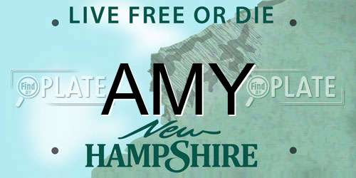 AMY New Hampshire License Plate