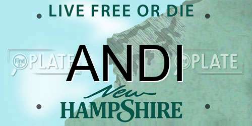 ANDI New Hampshire License Plate