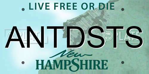 ANTDSTS New Hampshire License Plate