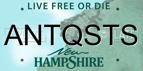 ANTQSTS New Hampshire License Plate