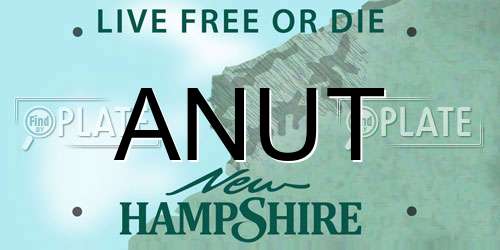 ANUT New Hampshire License Plate