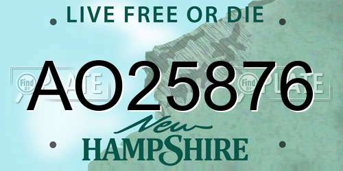 AO25876 New Hampshire License Plate