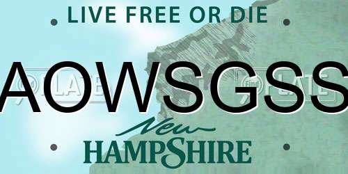 AOWSGSS New Hampshire License Plate