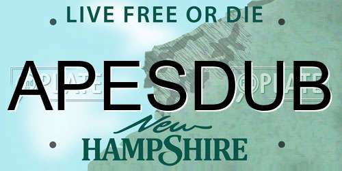 APESDUB New Hampshire License Plate