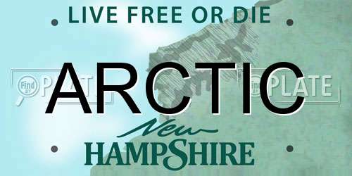 ARCTIC New Hampshire License Plate