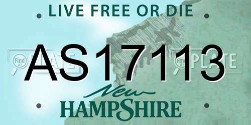 AS17113 New Hampshire License Plate