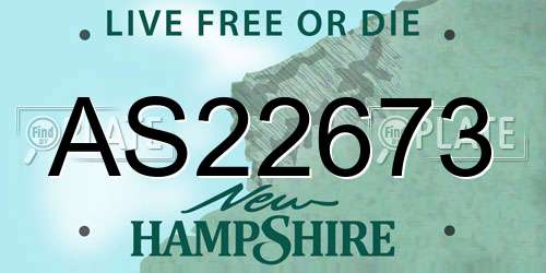 AS22673 New Hampshire License Plate