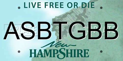 ASBTGBB New Hampshire License Plate