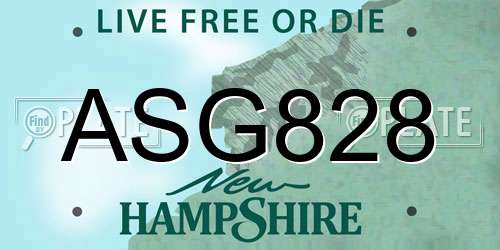 ASG828 New Hampshire License Plate
