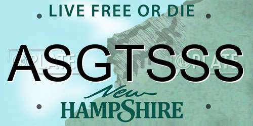 ASGTSSS New Hampshire License Plate