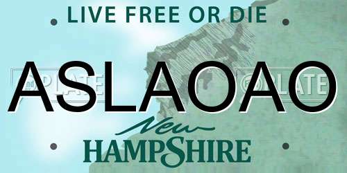 ASLAOAO New Hampshire License Plate