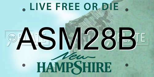 ASM28B New Hampshire License Plate