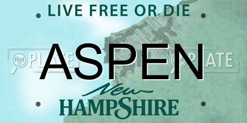 ASPEN New Hampshire License Plate