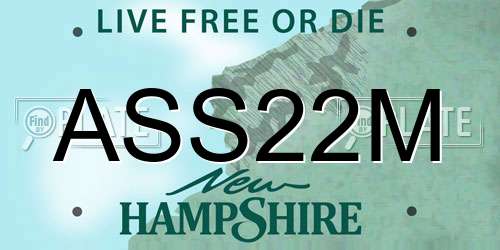ASS22M New Hampshire License Plate