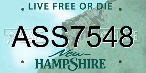 ASS7548 New Hampshire License Plate
