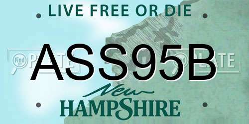 ASS95B New Hampshire License Plate