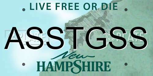 ASSTGSS New Hampshire License Plate