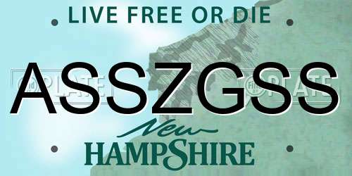 ASSZGSS New Hampshire License Plate