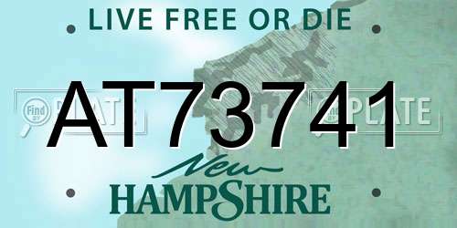 AT73741 New Hampshire License Plate