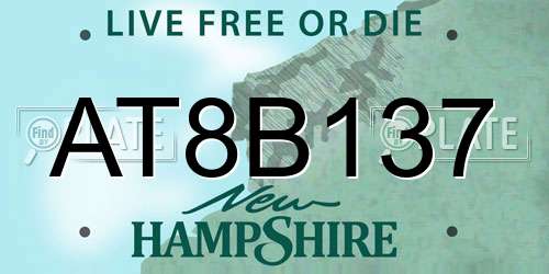 AT8B137 New Hampshire License Plate