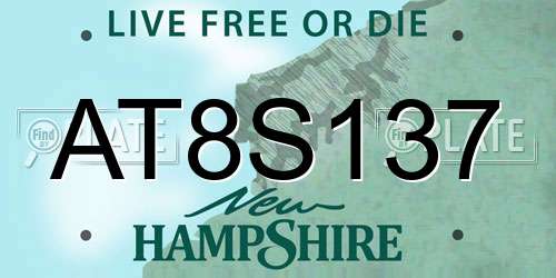 AT8S137 New Hampshire License Plate
