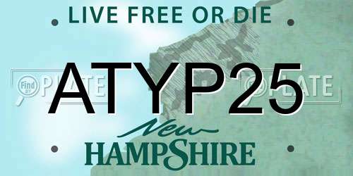 ATYP25 New Hampshire License Plate