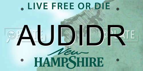 AUDIDR New Hampshire License Plate