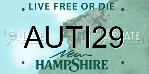 AUTI29 New Hampshire License Plate