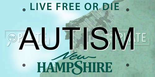 AUTISM New Hampshire License Plate