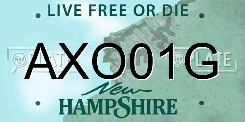 AXO01G New Hampshire License Plate
