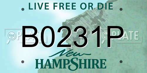 B0231P New Hampshire License Plate
