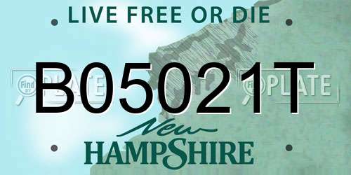 B05021T New Hampshire License Plate