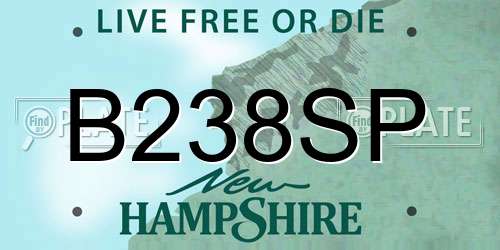 B238SP New Hampshire License Plate