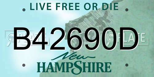 B42690D New Hampshire License Plate