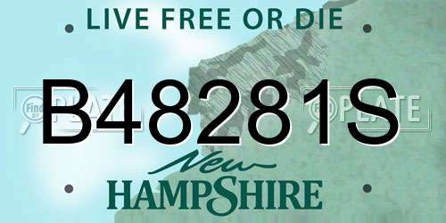 B48281S New Hampshire License Plate