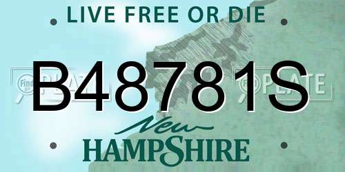 B48781S New Hampshire License Plate