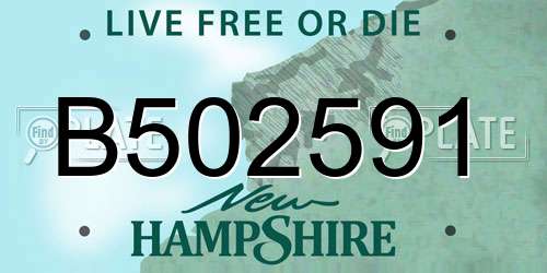 B502591 New Hampshire License Plate