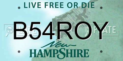 B54ROY New Hampshire License Plate