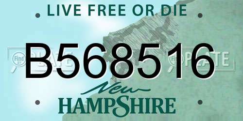 B568516 New Hampshire License Plate