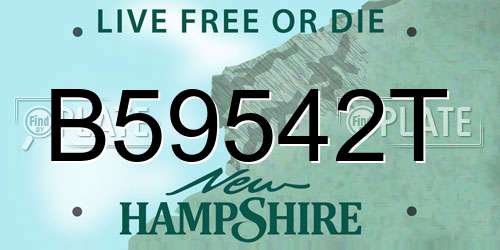 B59542T New Hampshire License Plate