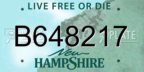 B648217 New Hampshire License Plate
