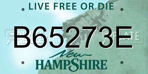 B65273E New Hampshire License Plate